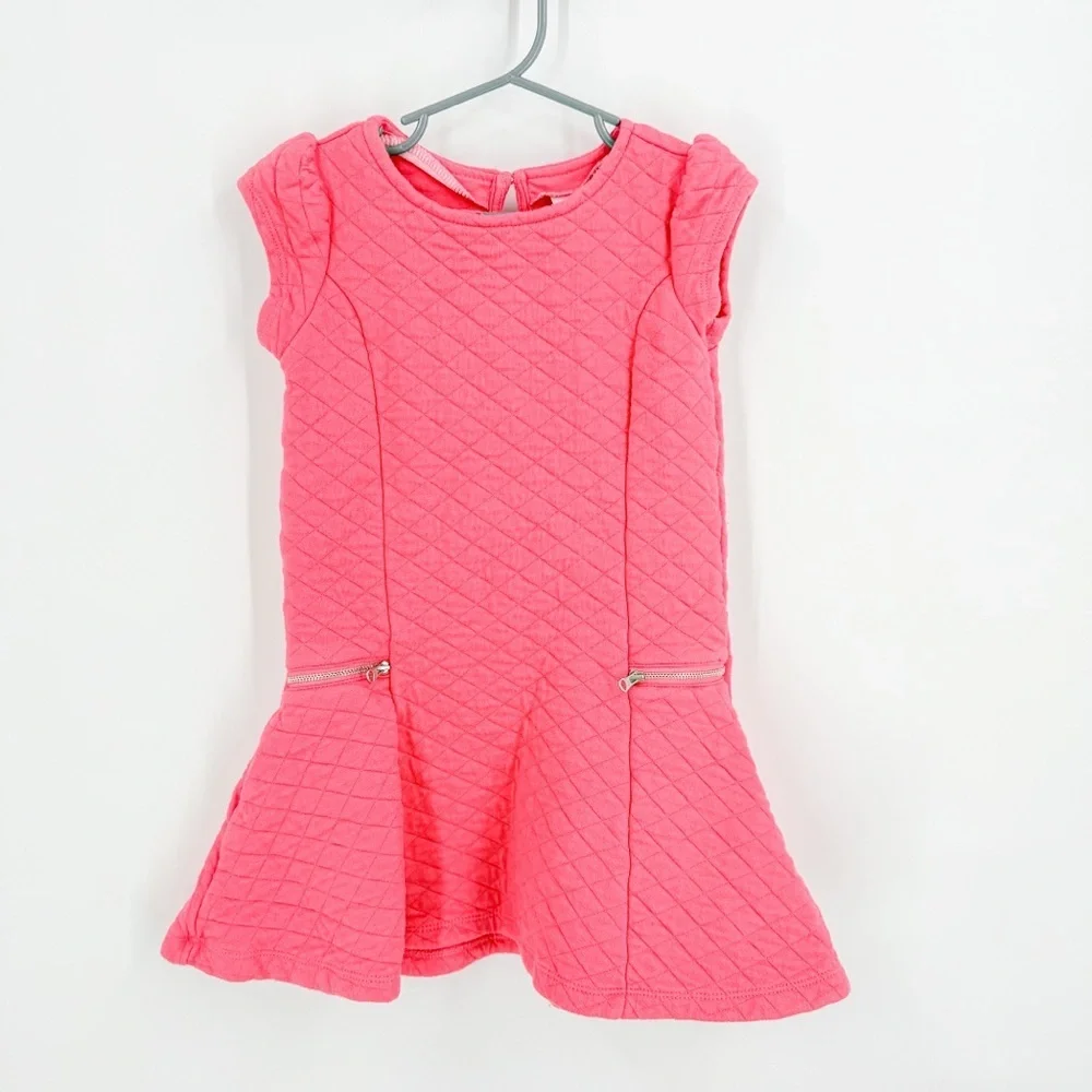 Gymboree Pink Flutter Sleeve Fit and Flare Dress